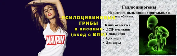 мяу мяу мука Алексин