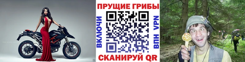 где можно купить наркотик  Невинномысск  Псилоцибиновые грибы Magic Shrooms 