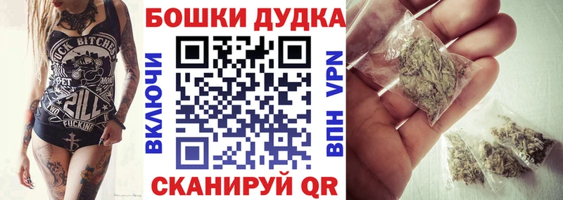 Каннабис планчик  Невинномысск 